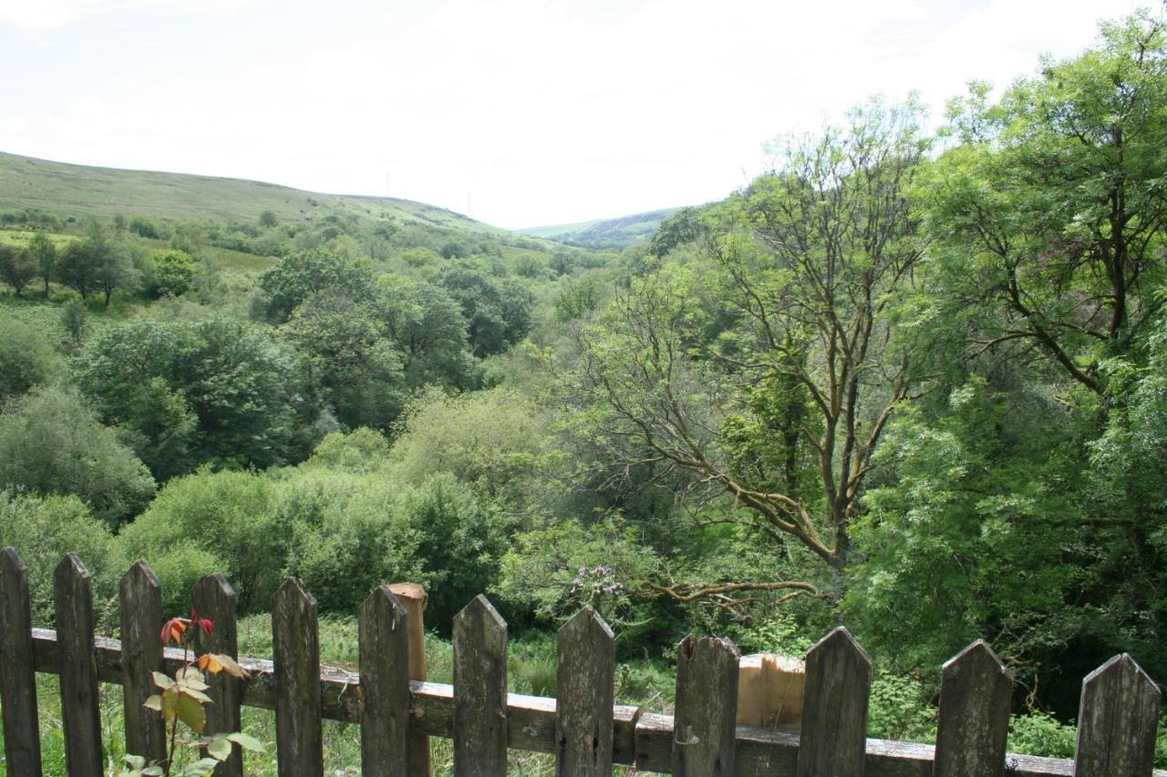Coynant Farm Guesthouse - Farm Park Stay Суонзи Екстериор снимка