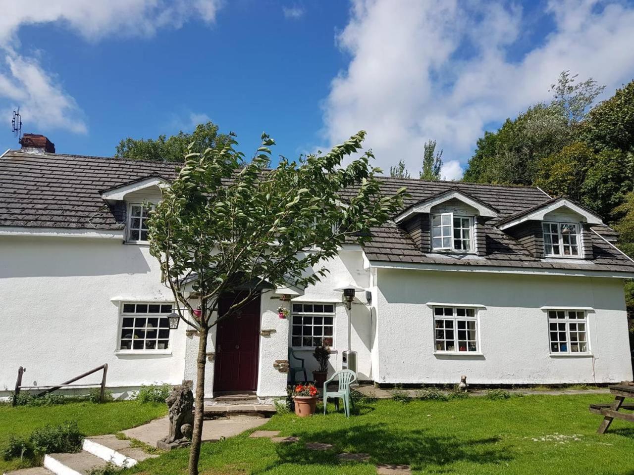 Coynant Farm Guesthouse - Farm Park Stay Суонзи Екстериор снимка